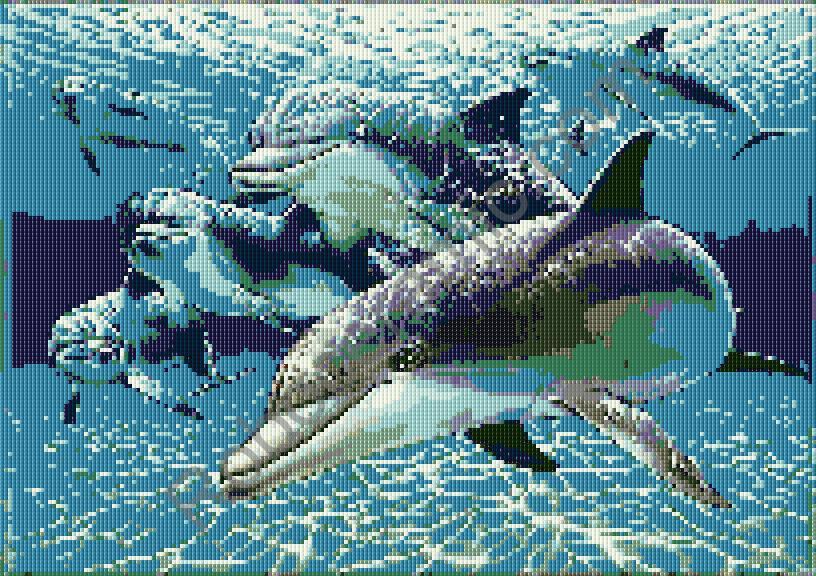 DOLPHIN TILED